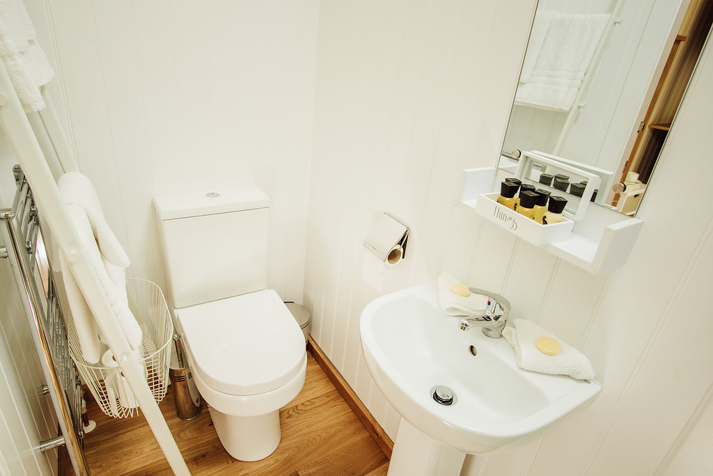Bathroom with sink and toilet inside shepherd's hut