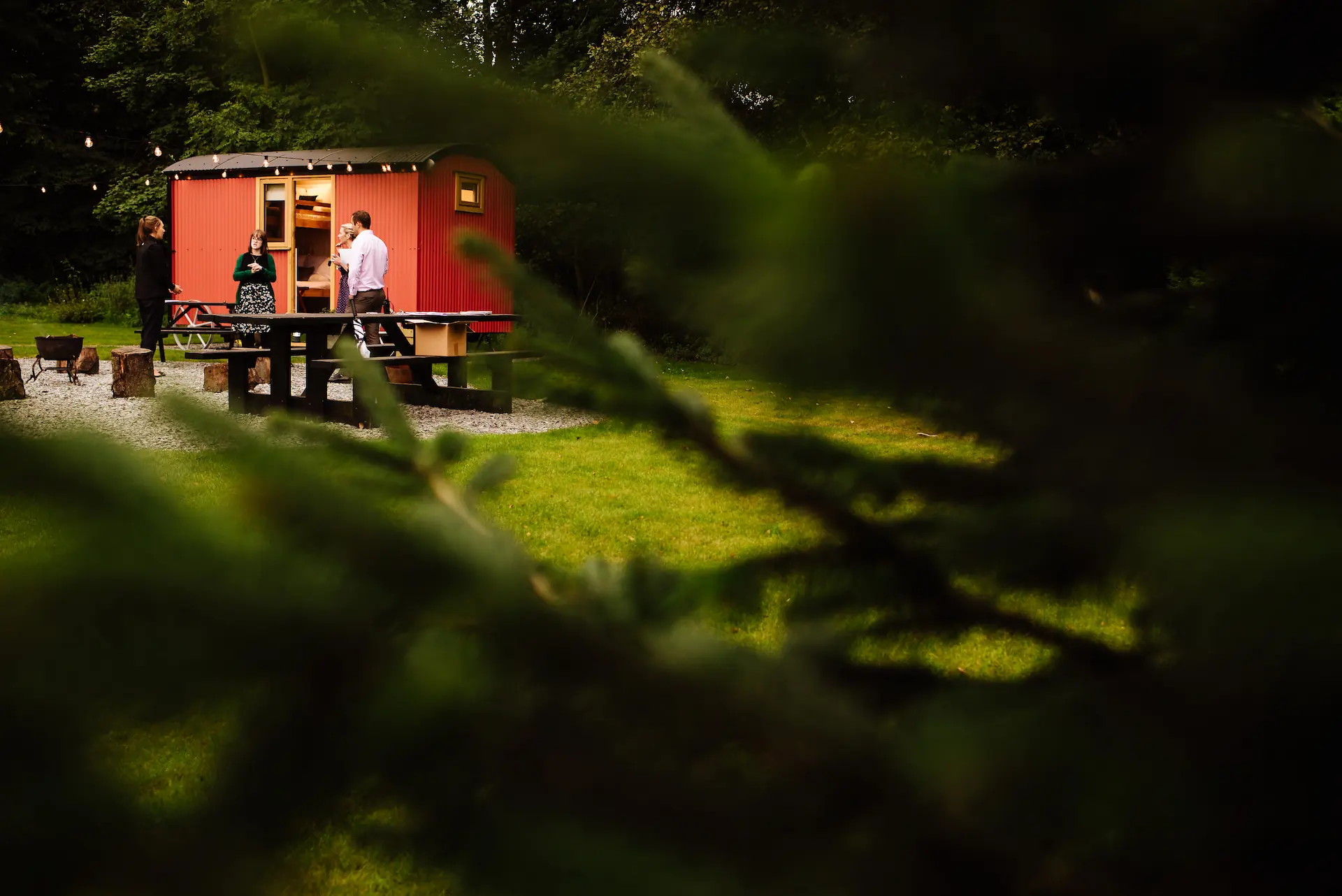 Shepherd's hut in a green meadow obscured by tree
