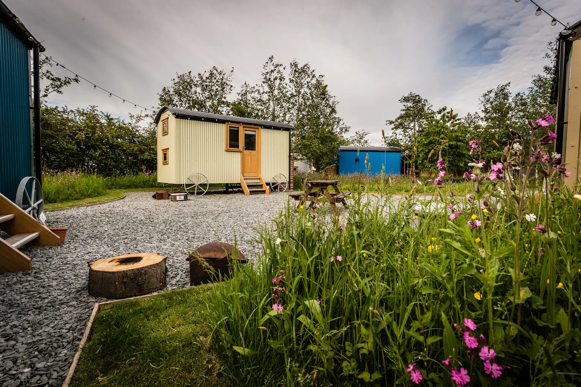 Shepherd's huts on gravel with wildflowers