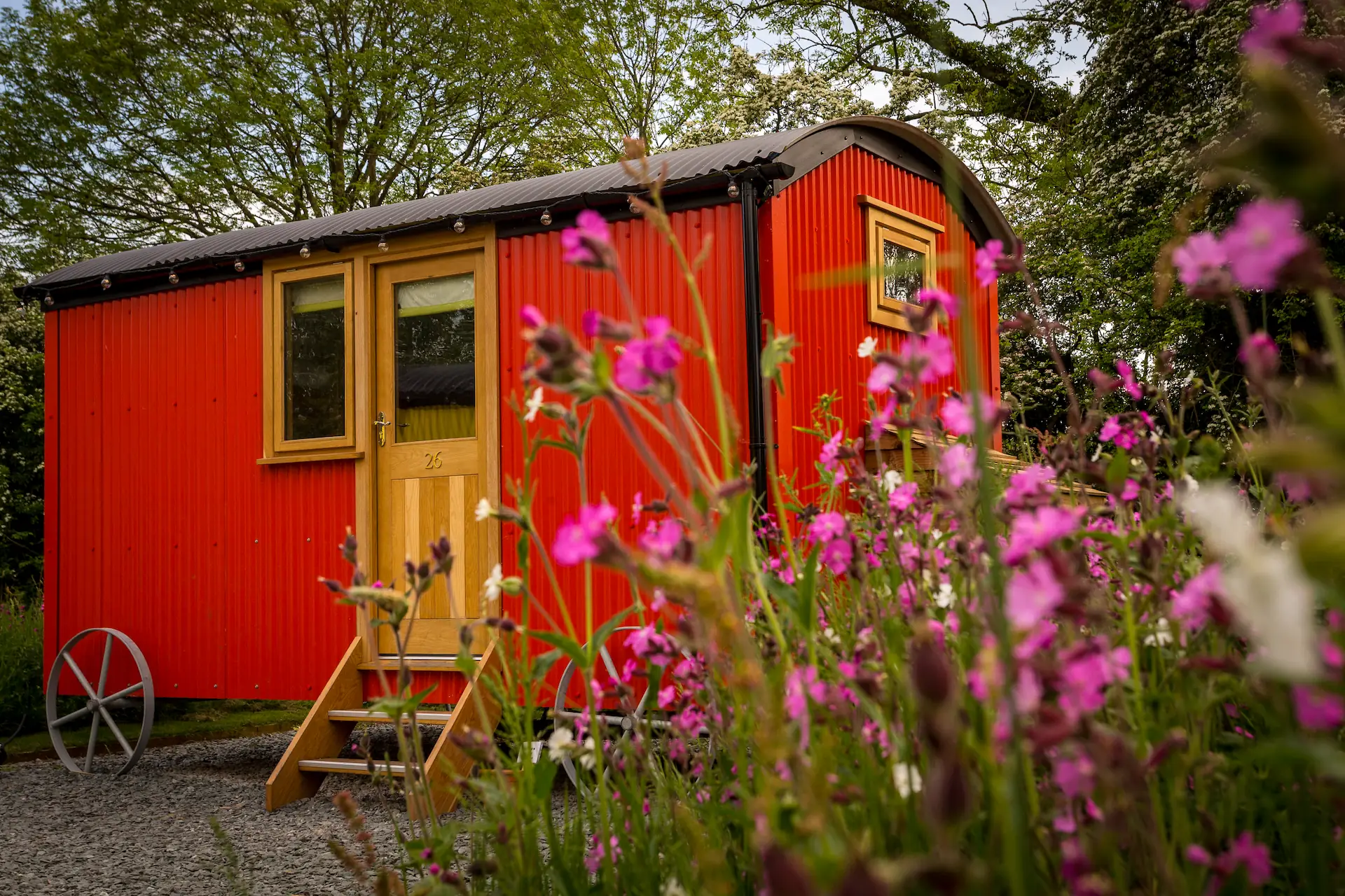 Single red shepherd's hut with wildflowers in the foreground