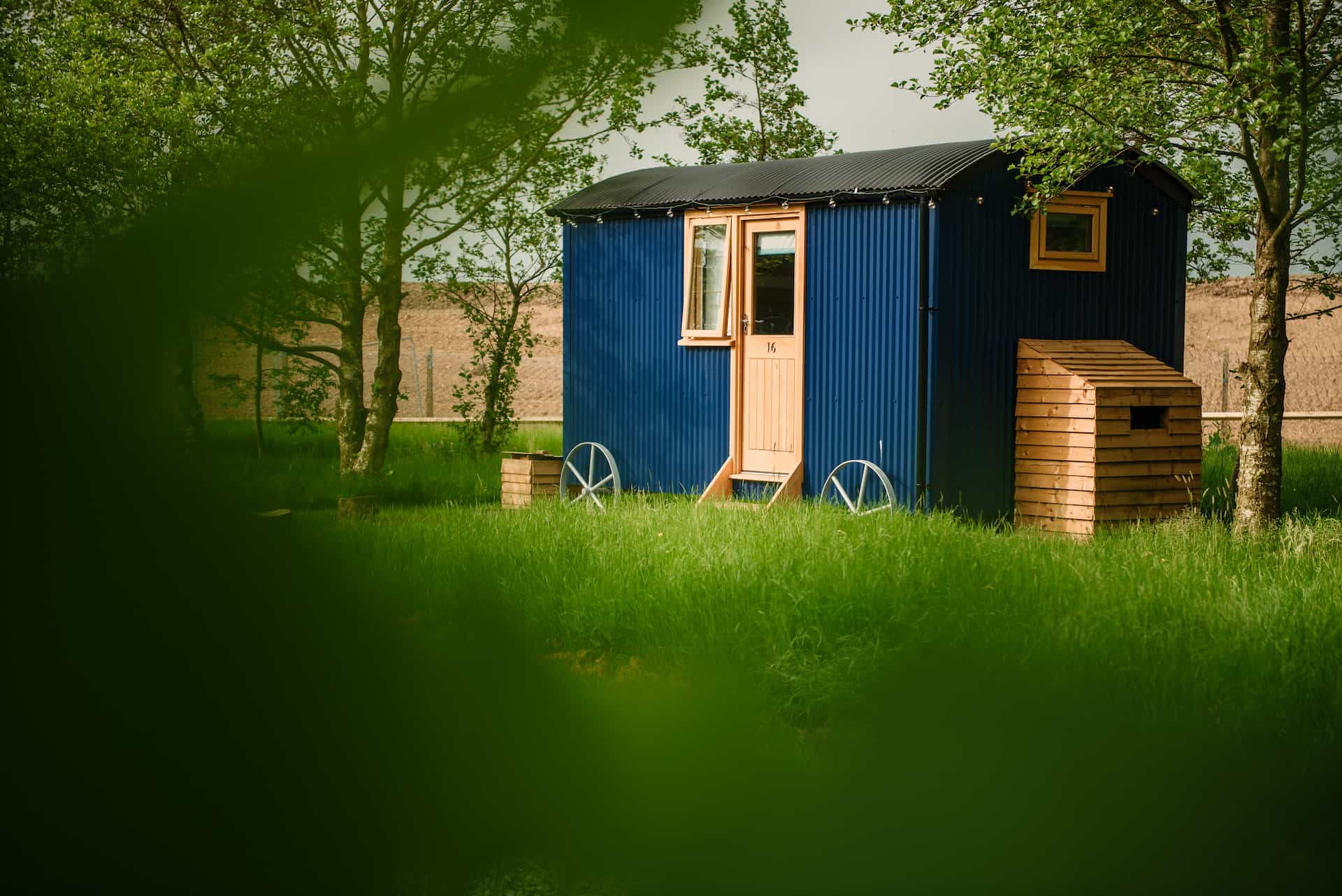 Blue shepherd's hut in a grass meadow slightly obscured by a tree