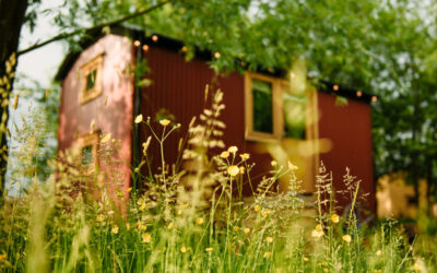 Lancashire Glamping: Summer Holidays 2024